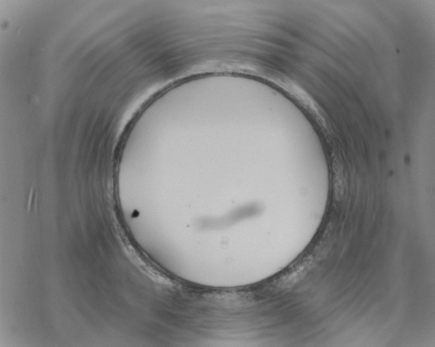 X0000068730896200605262023