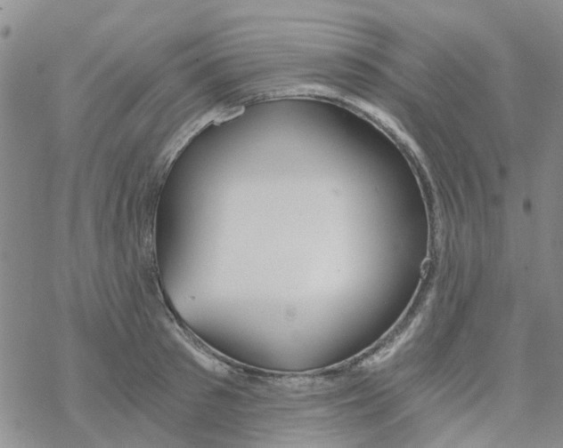 X0000068730897200605262023