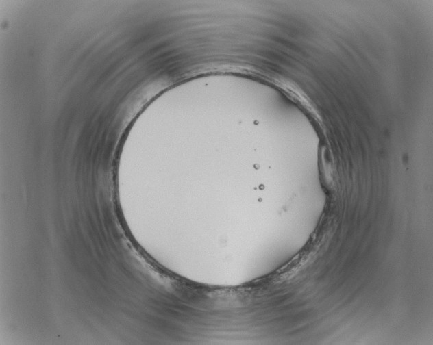 X0000068730898200605262023