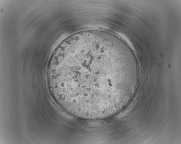 X0000068730899200605262023