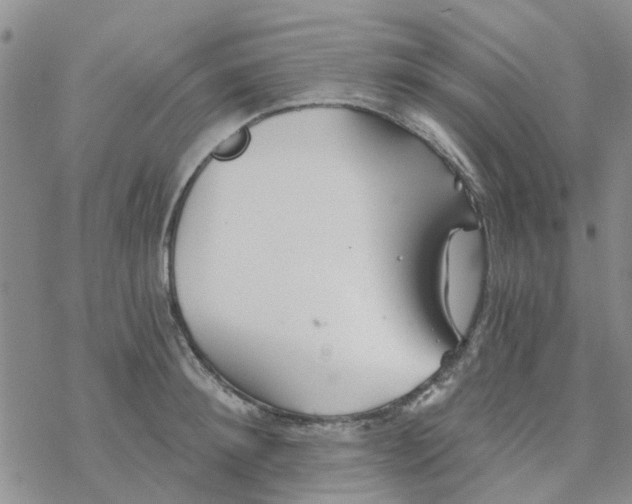 X0000068730900200605262023