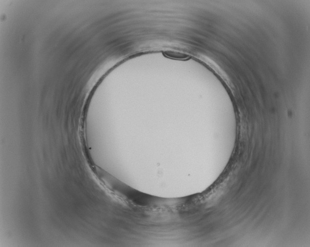 X0000068730901200605262023