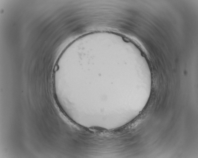 X0000068730903200605262023