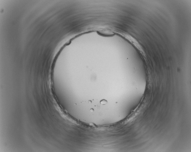 X0000068730904200605262023