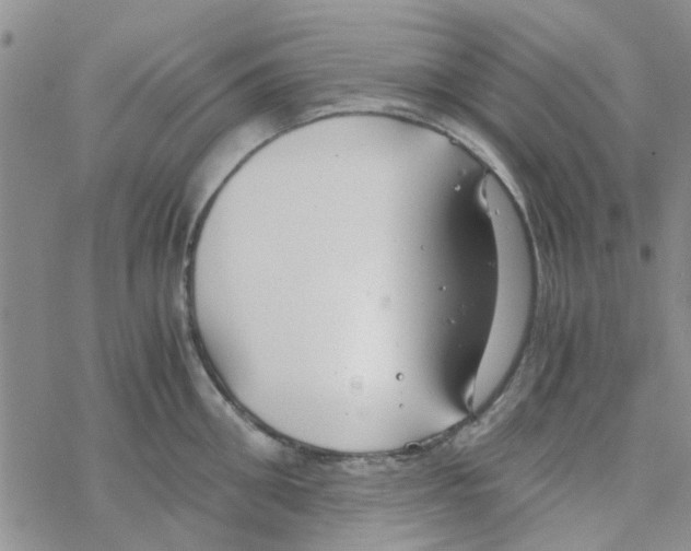 X0000068730906200605262023