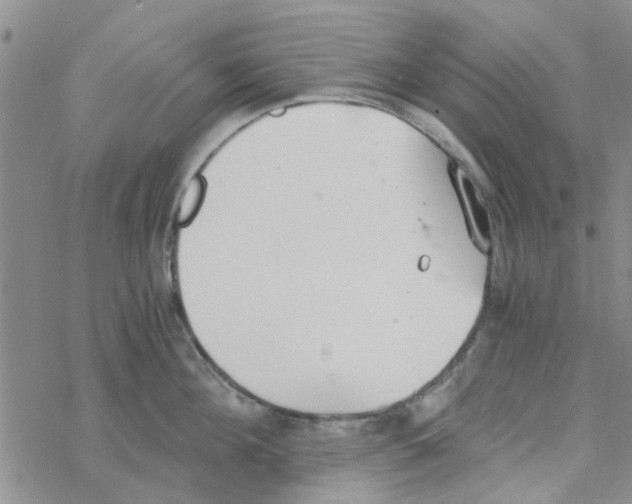 X0000068730908200605262022