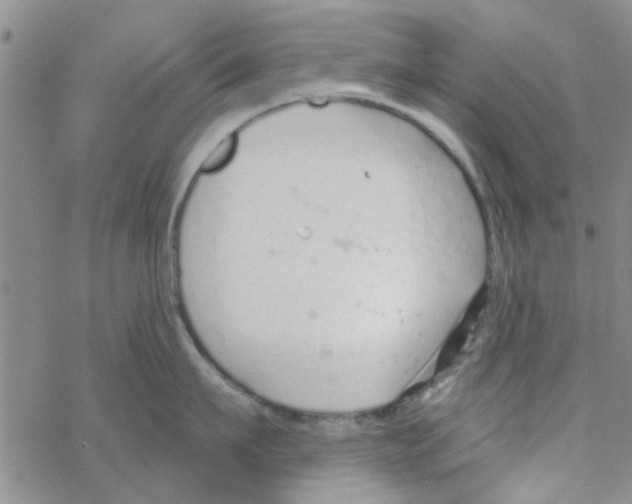 X0000068730911200605262022