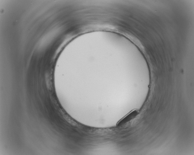 X0000068730912200605262022