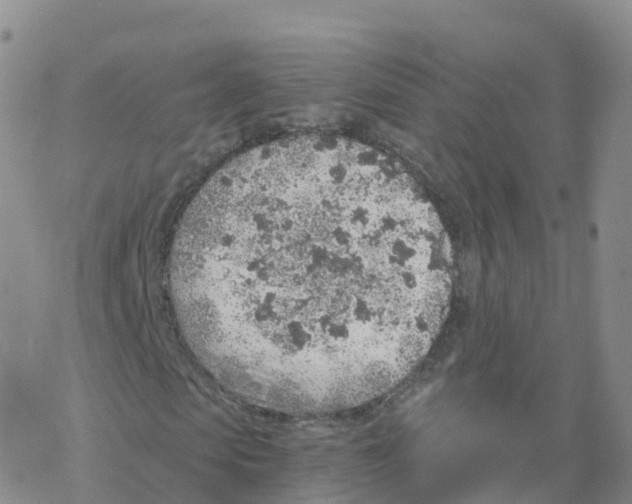 X0000068730913200605262022