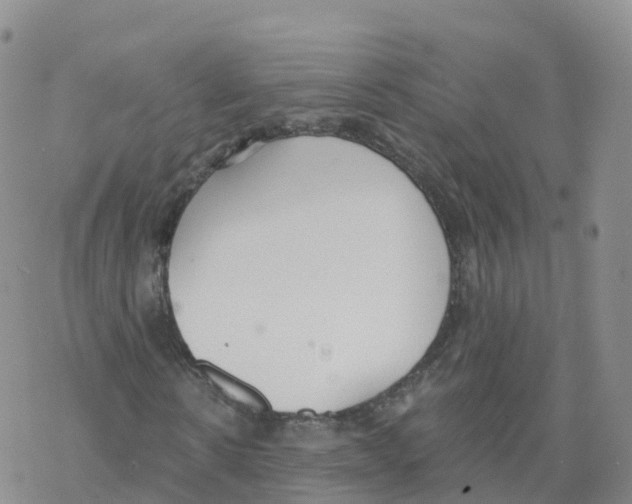 X0000068730914200605262022