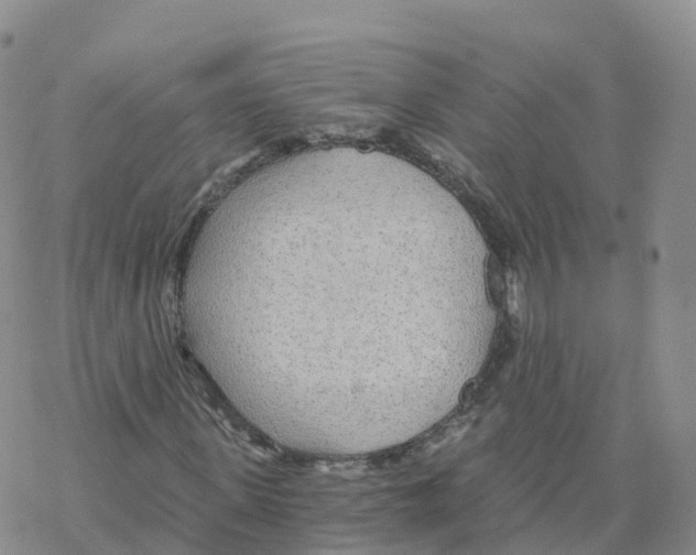 X0000068730915200605262022