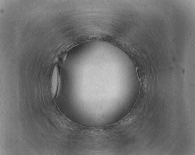 X0000068730916200605262022