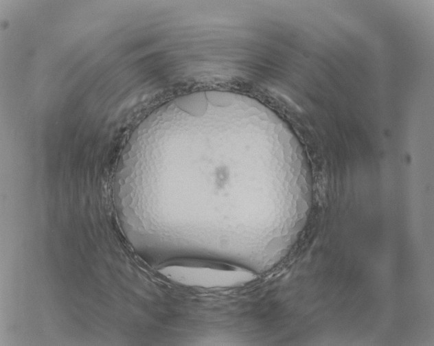 X0000068730917200605262022