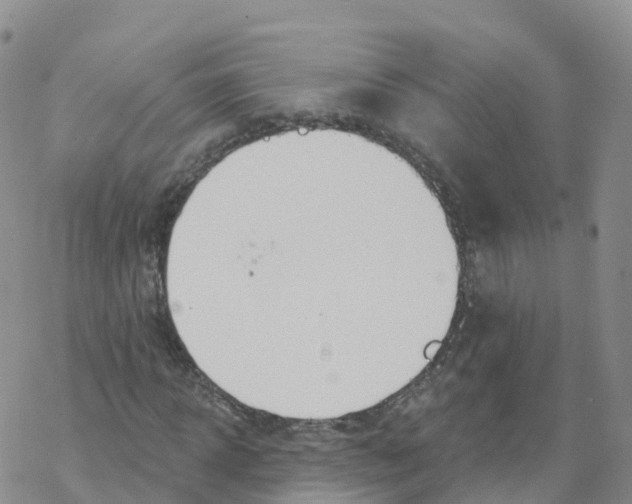 X0000068730918200605262022