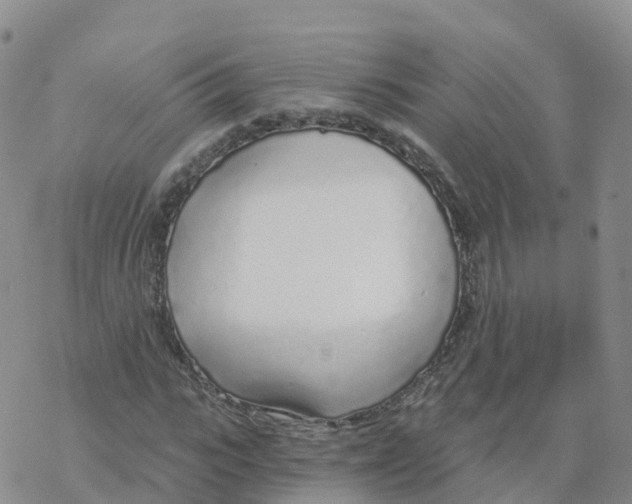 X0000068730919200605262022