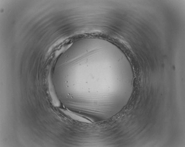 X0000068730920200605262022