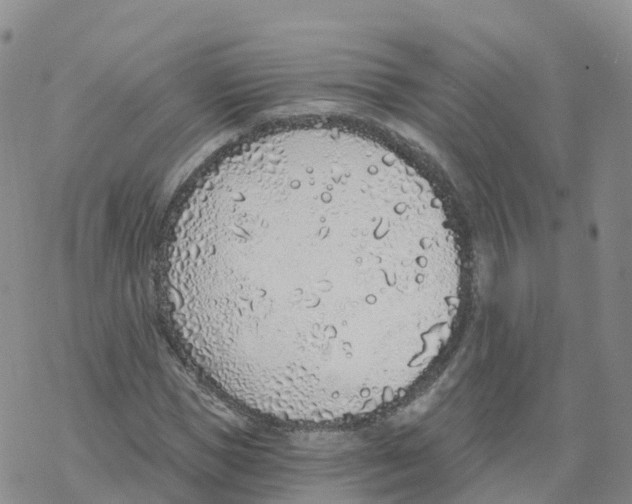 X0000068730921200605262022