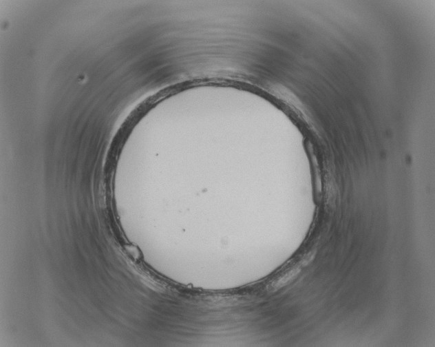 X0000068730924200605262022