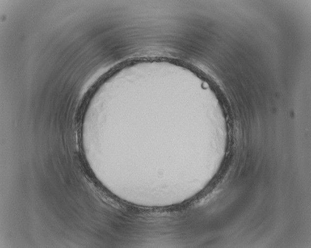 X0000068730925200605262022