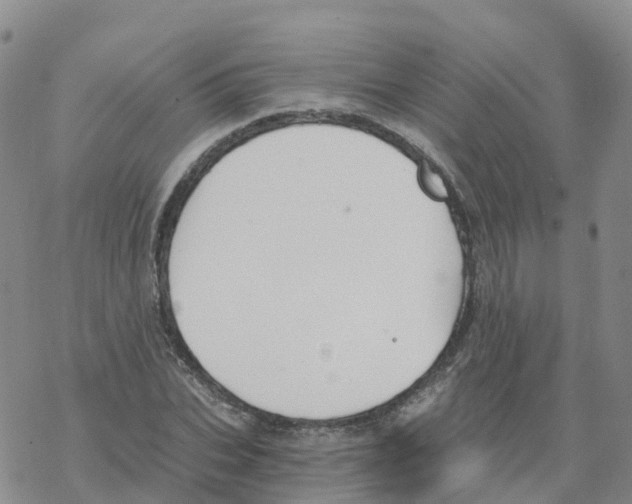 X0000068730927200605262022