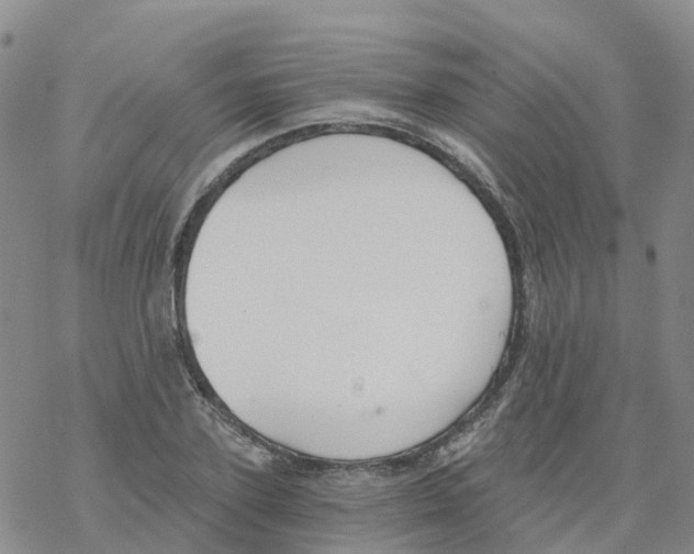 X0000068730931200605262022