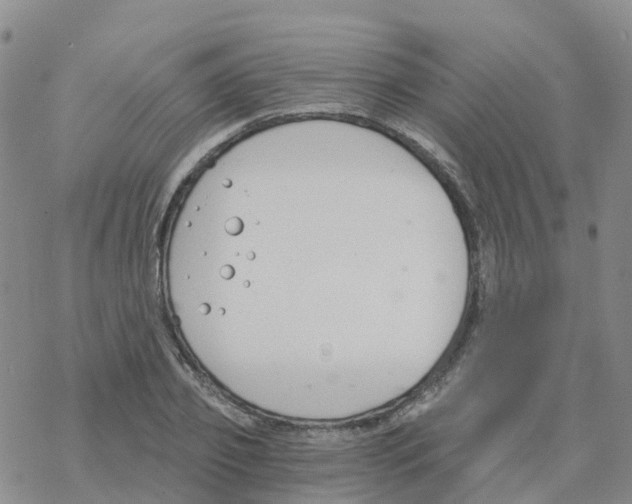 X0000068730933200605262022