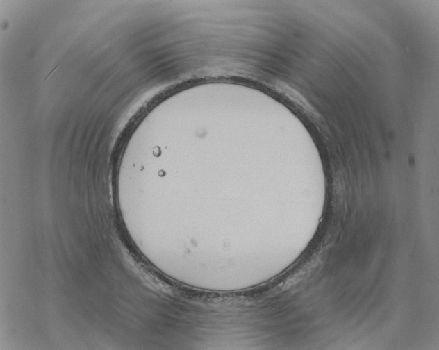 X0000068730934200605262022