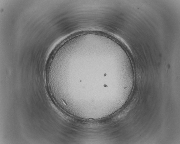 X0000068730935200605262022