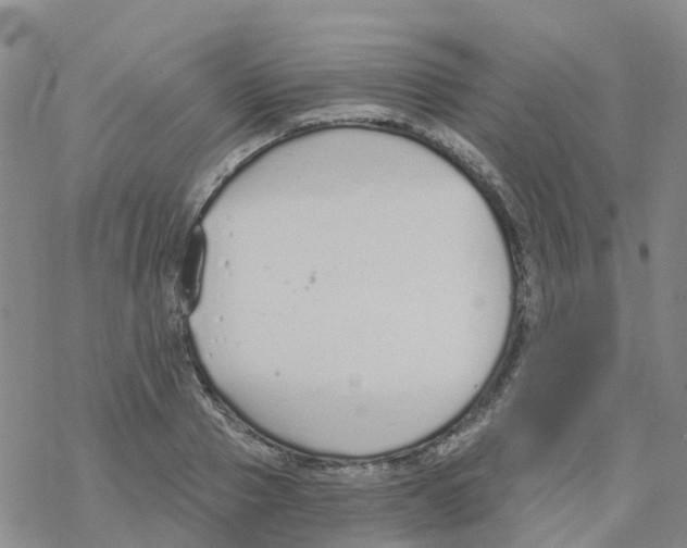 X0000068730937200605262022