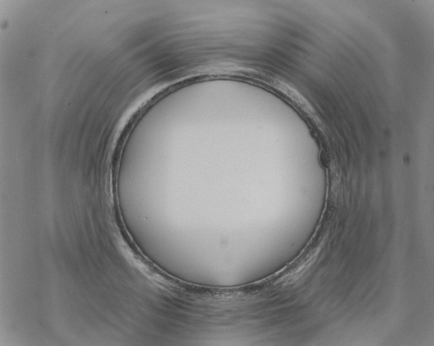 X0000068730939200605262022