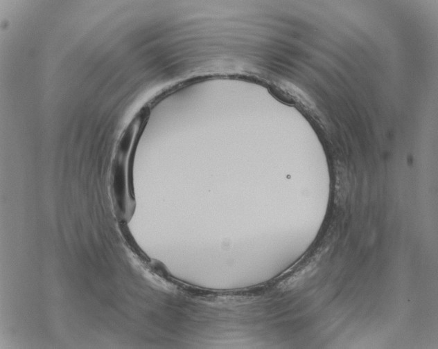 X0000068730942200605262022