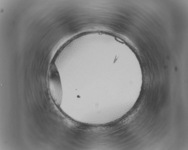 X0000068730943200605262022