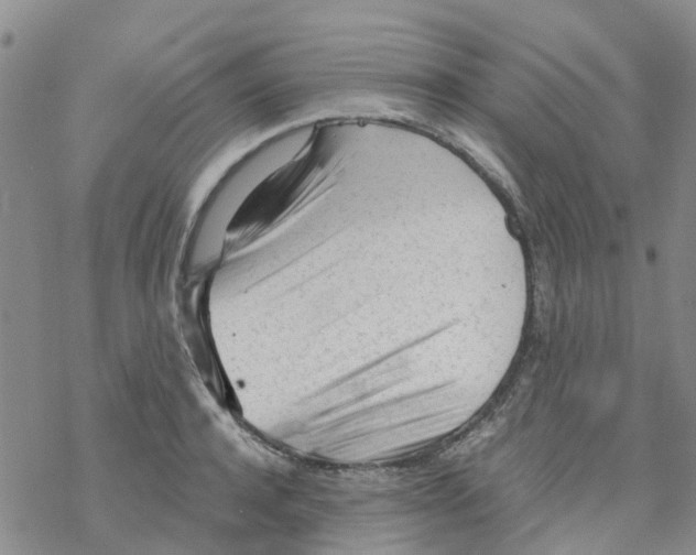 X0000068730944200605262022