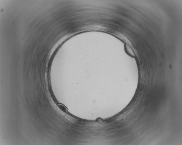 X0000068730947200605262022