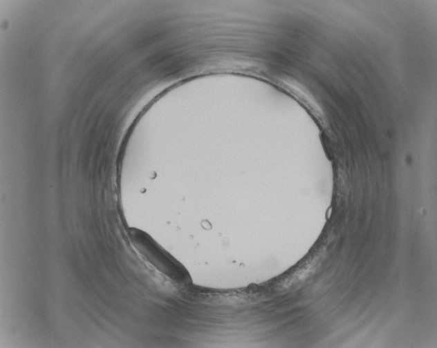 X0000068730948200605262022