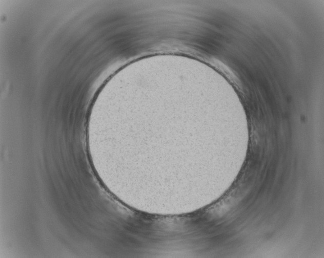 X0000068730950200605262022