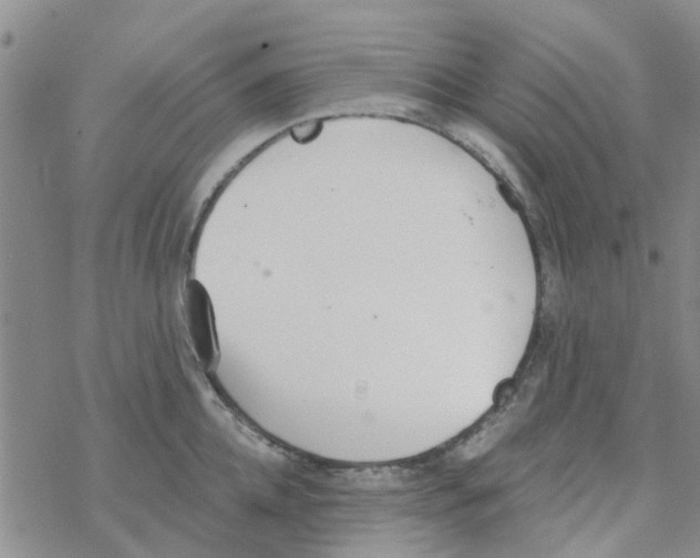 X0000068730952200605262022