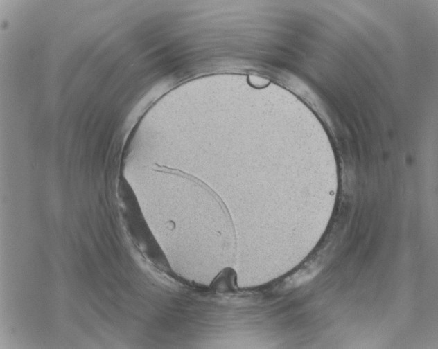 X0000068730954200605262022