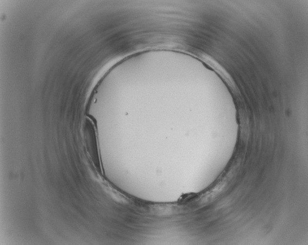 X0000068730956200605262022