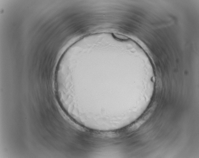 X0000068730957200605262022