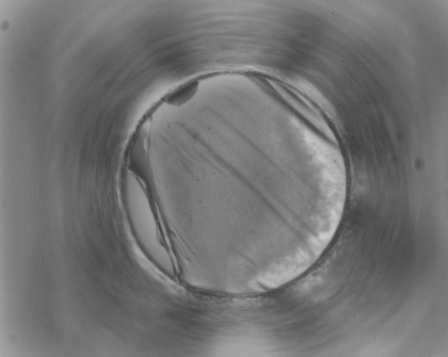 X0000068730958200605262022