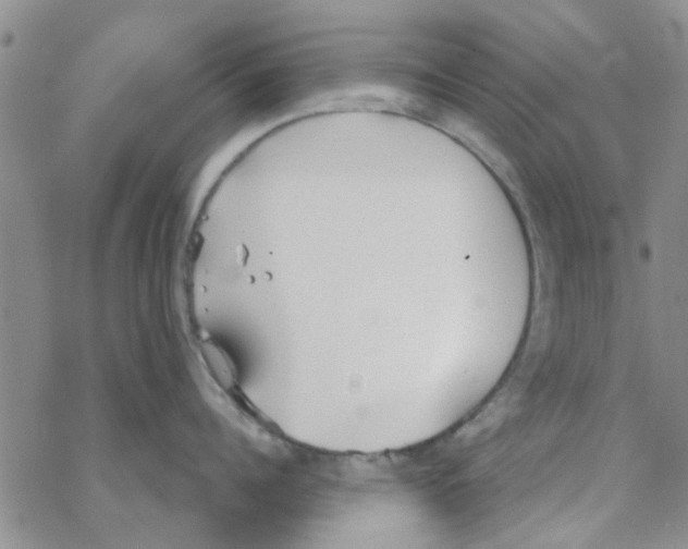 X0000068730960200605262022