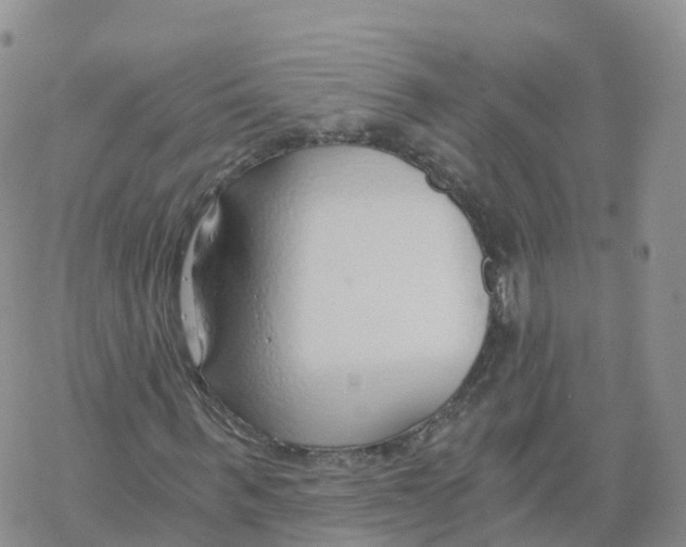 X0000068730963200605262022