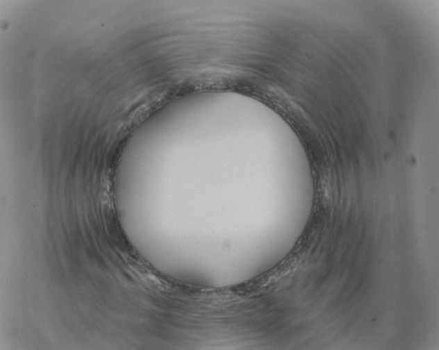 X0000068730964200605262022