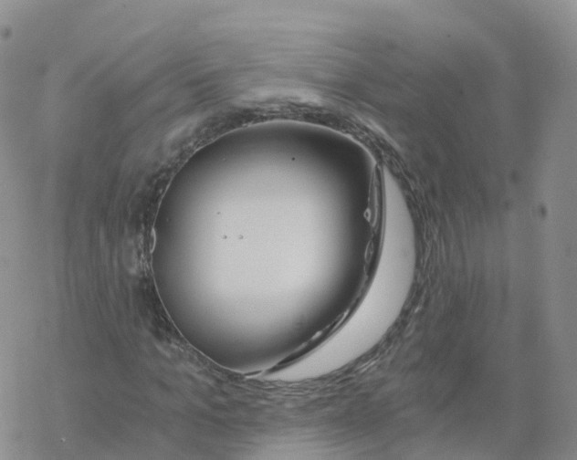 X0000068730965200605262022