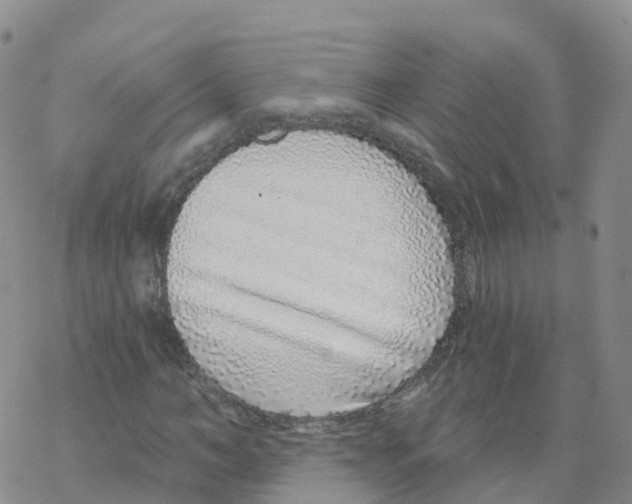 X0000068730966200605262022