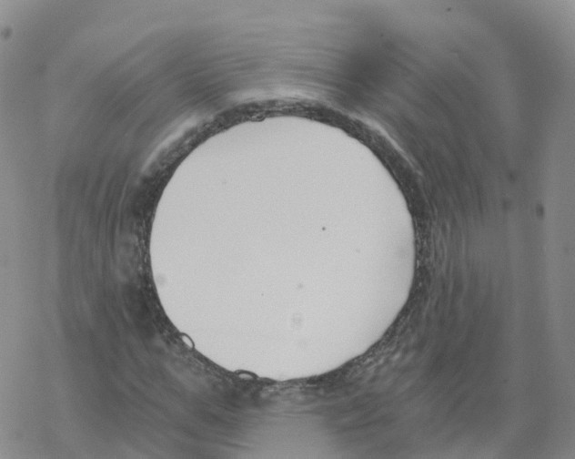 X0000068730967200605262022