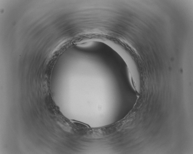 X0000068730968200605262022