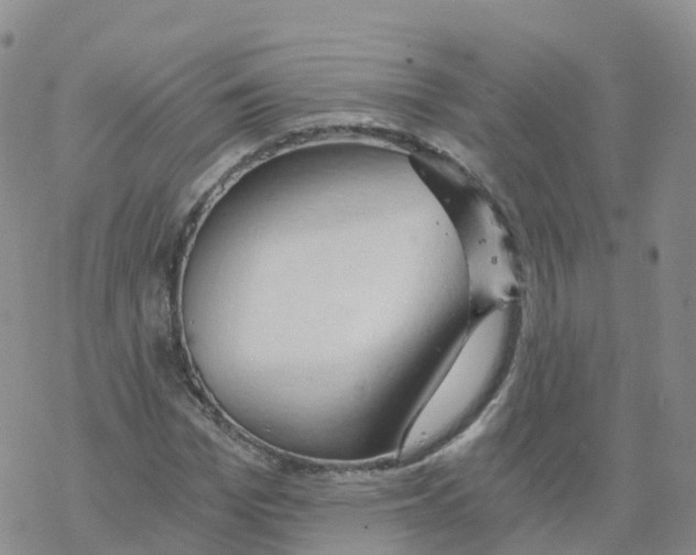 X0000068730969200605262021