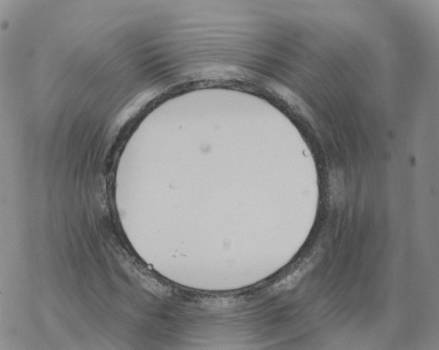 X0000068730970200605262021